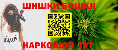 прущие грибы Нальчик