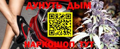 прущие грибы Нальчик