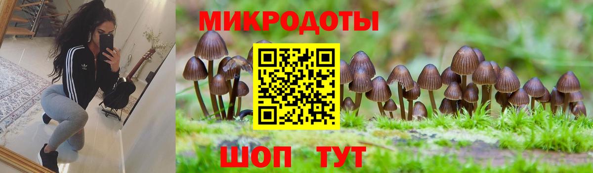 Псилоцибиновые грибы мухоморы  купить закладку  Вышний Волочёк  Вход с VPN 